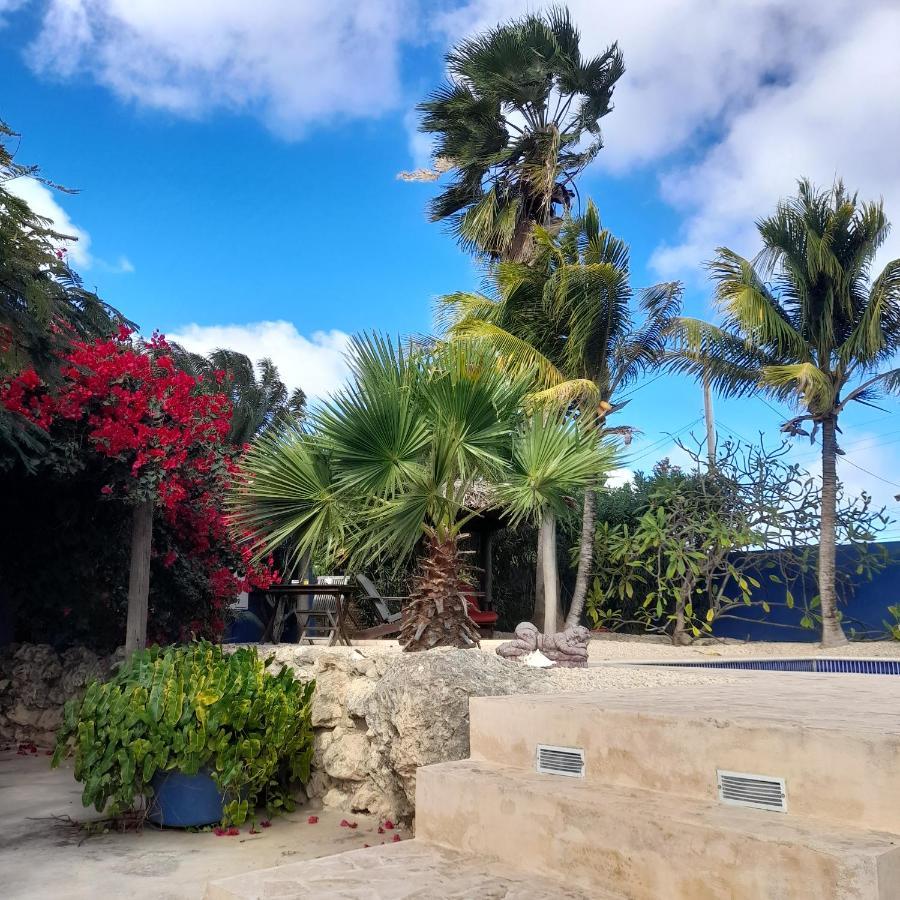 كراليندايك Caribbean Chillout Apartments المظهر الخارجي الصورة