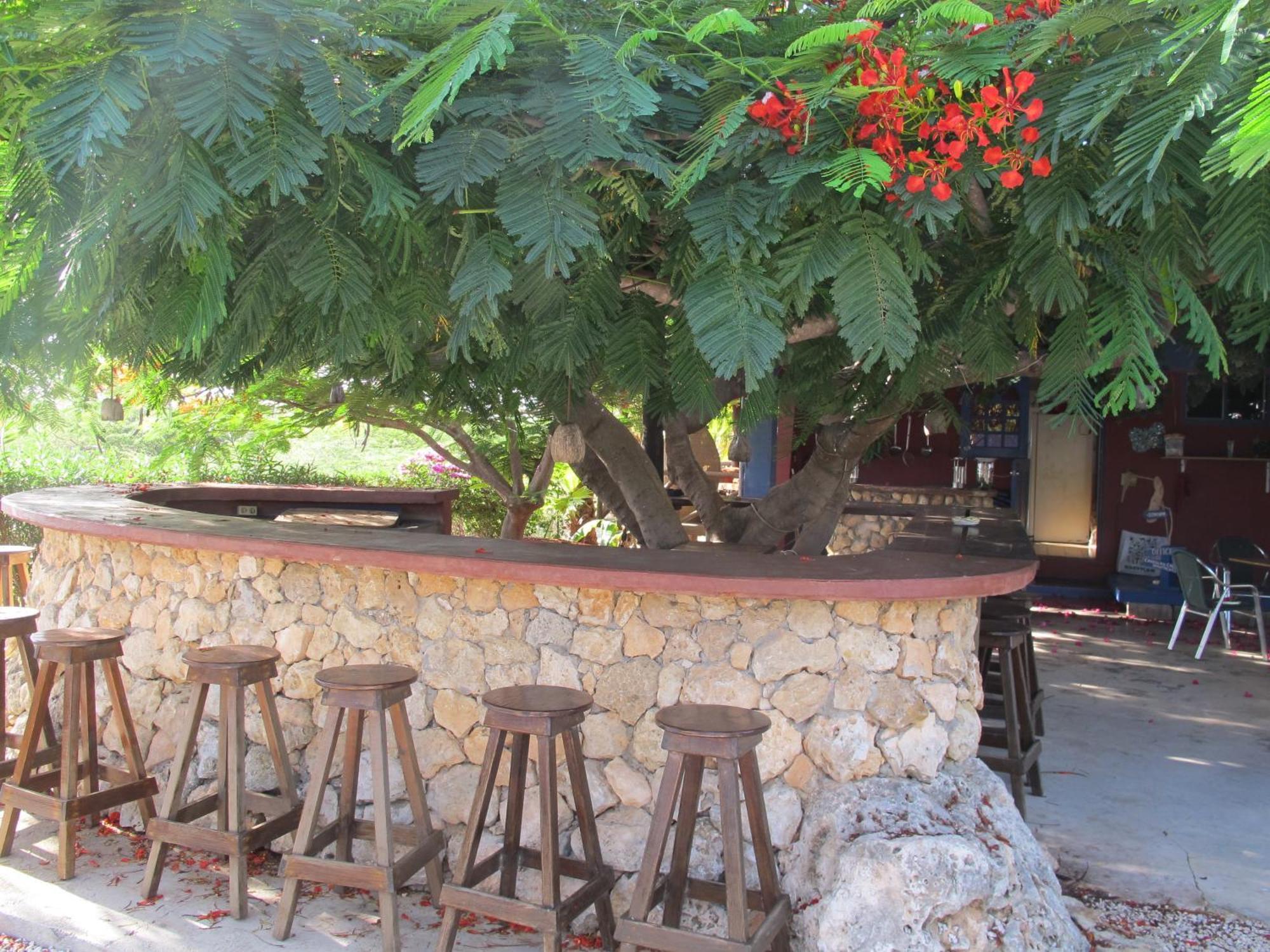 كراليندايك Caribbean Chillout Apartments المظهر الخارجي الصورة