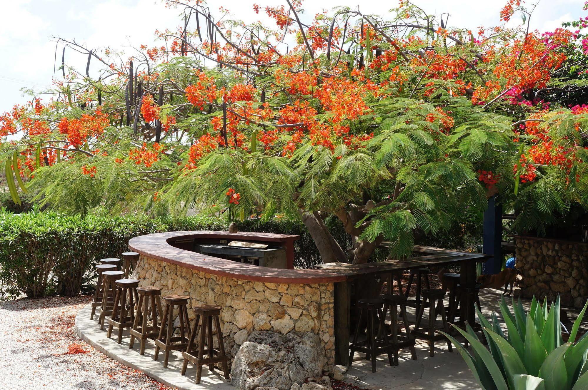 كراليندايك Caribbean Chillout Apartments المظهر الخارجي الصورة