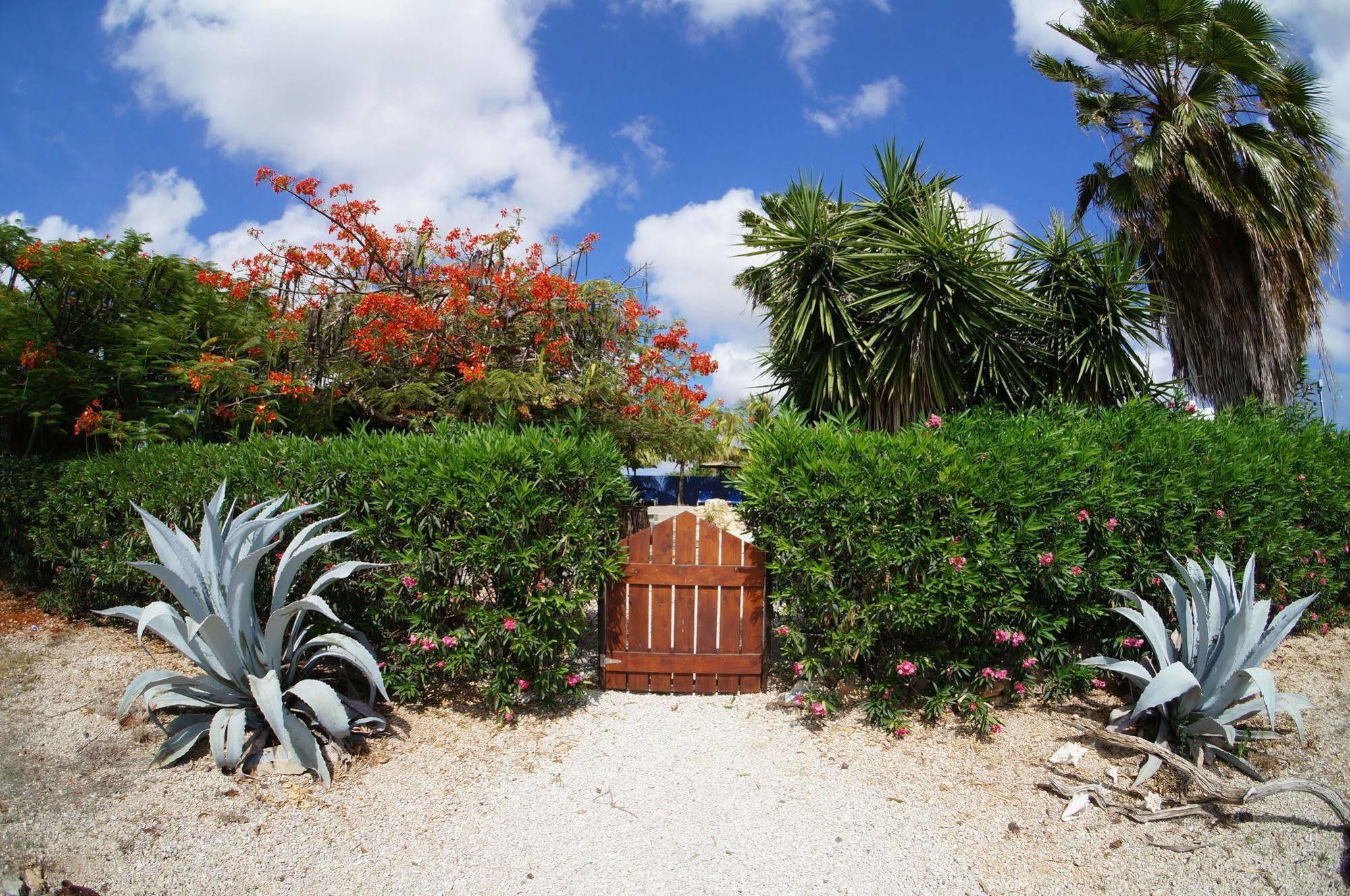 كراليندايك Caribbean Chillout Apartments المظهر الخارجي الصورة
