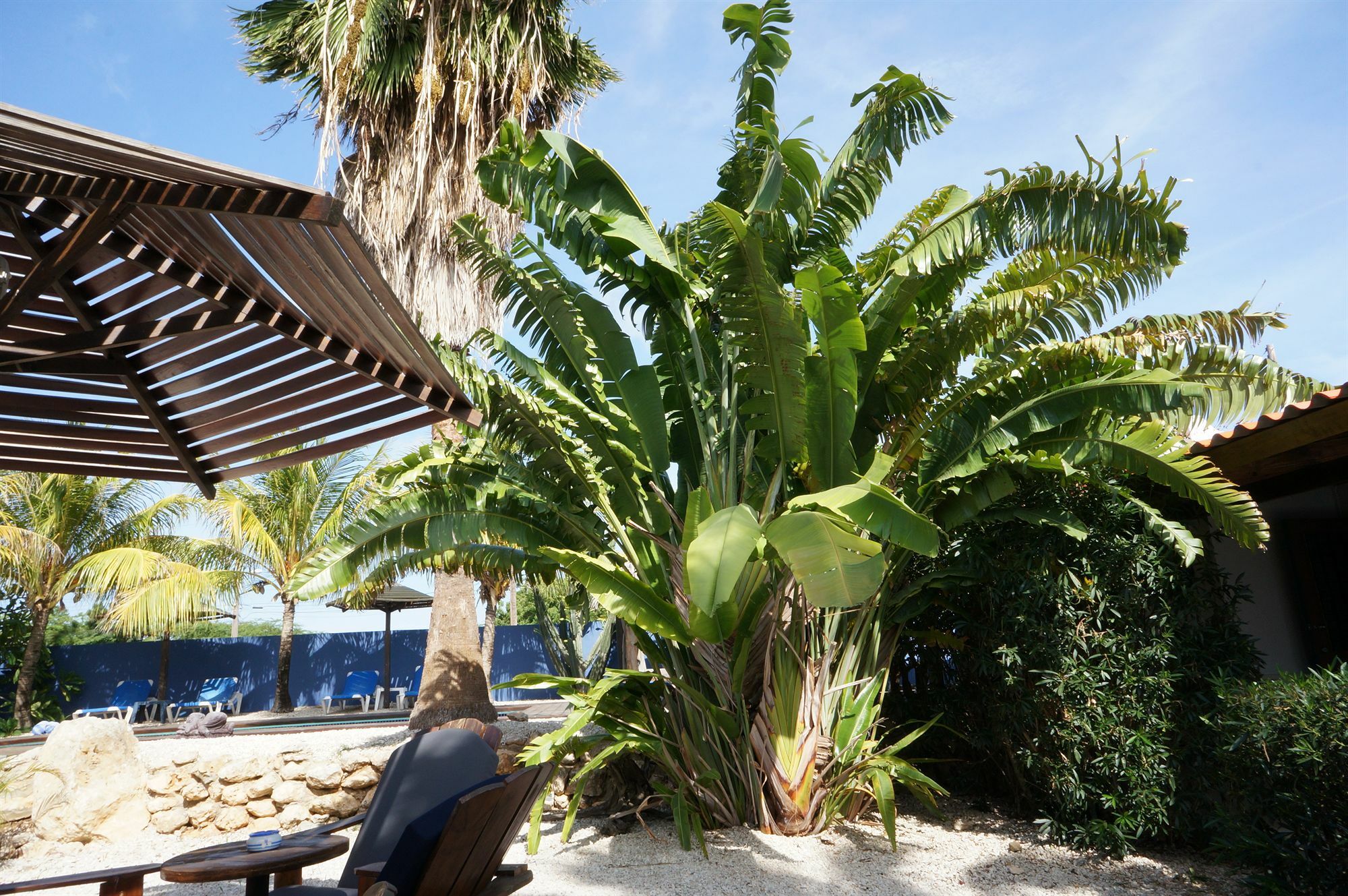 كراليندايك Caribbean Chillout Apartments المظهر الخارجي الصورة